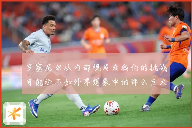 罗塞尼尔从内部视角看我们的挑战可能远不如外界想象中的那么巨大成长观察-深度解析