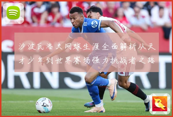 沙波瓦洛夫网球生涯全面解析从天才少年到世界赛场强力挑战者之路-深度解析