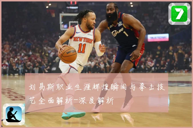 刘易斯职业生涯辉煌瞬间与拳击技艺全面解析-深度解析