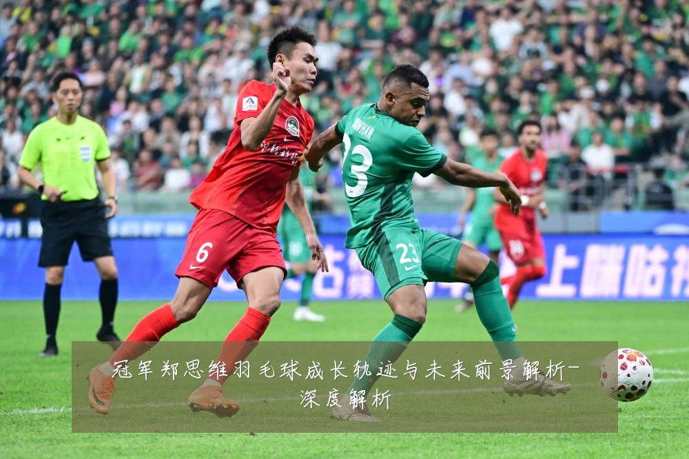 冠军郑思维羽毛球成长轨迹与未来前景解析-深度解析
