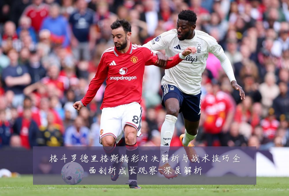 格斗罗德里格斯精彩对决解析与战术技巧全面剖析成长观察-深度解析