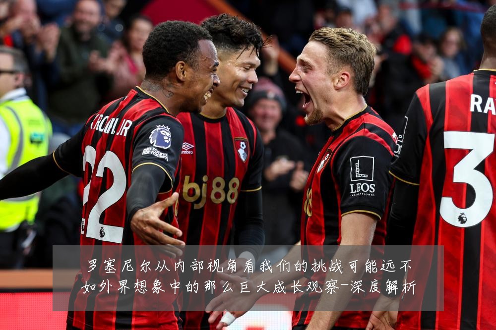 罗塞尼尔从内部视角看我们的挑战可能远不如外界想象中的那么巨大成长观察-深度解析